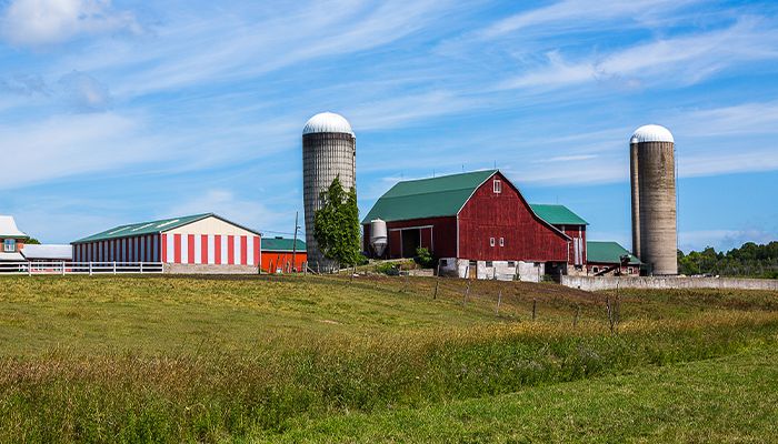 Buying/Selling Livestock Operations