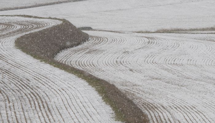 Winter Application of Manure