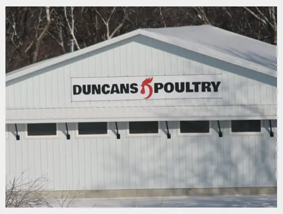 DUNCANS POULTRY