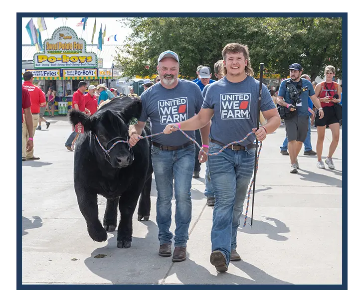 steer show
