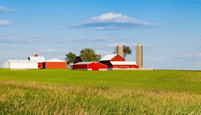 Navigating the cycles of agriculture. Where have we come from and where are we going from here? 