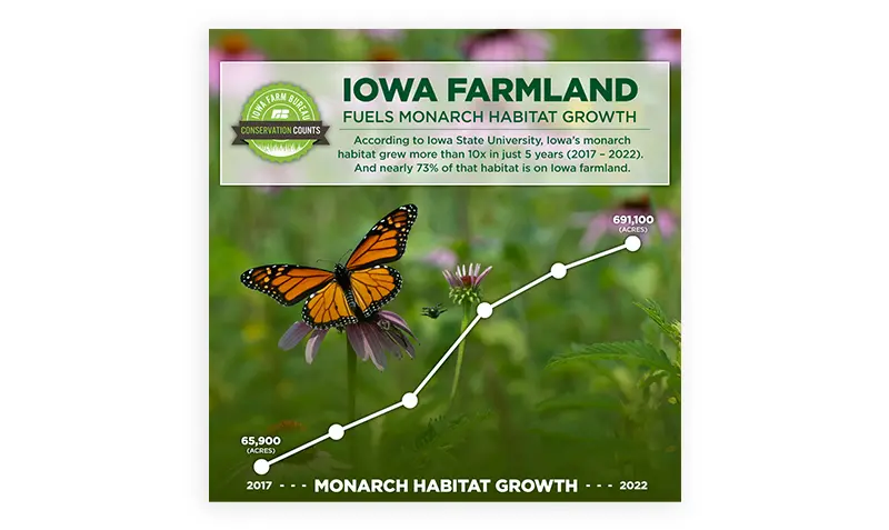 Iowa Farmland Fuels Monarch Habitat Growth