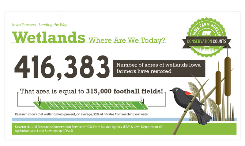 Download the Wetlands, where are we today infographic