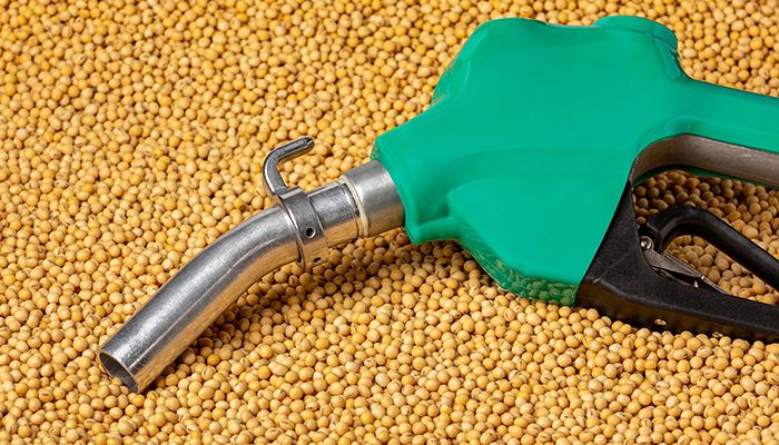 Soybeans, Renewable Diesel, and the Future Recording 