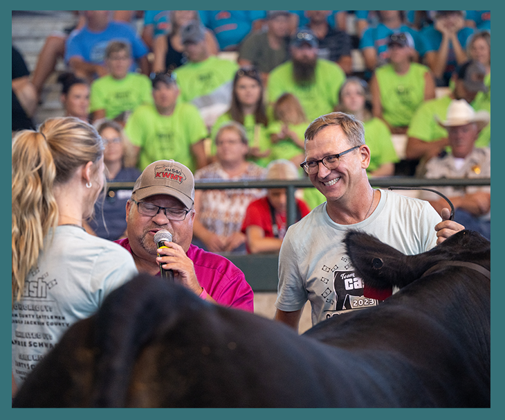 steer show