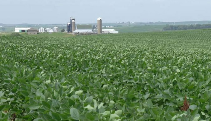 World Soybean Trade
