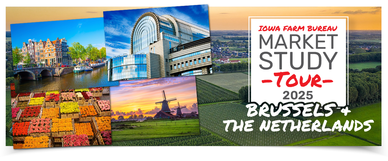 Market Study Trip: Brussels / Netherlands