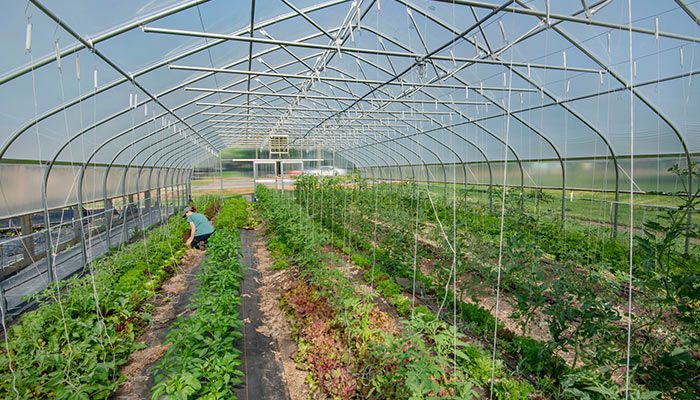 Introduction to High Tunnel and Produce Production Webinar Recording 
