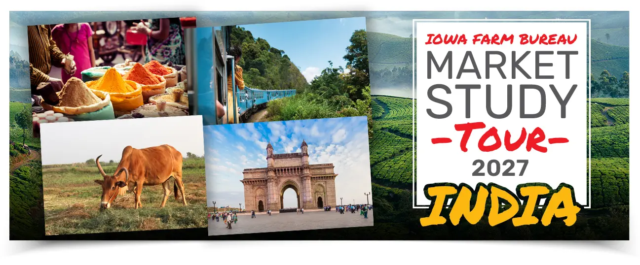 Market Study Trip: Brussels / Netherlands