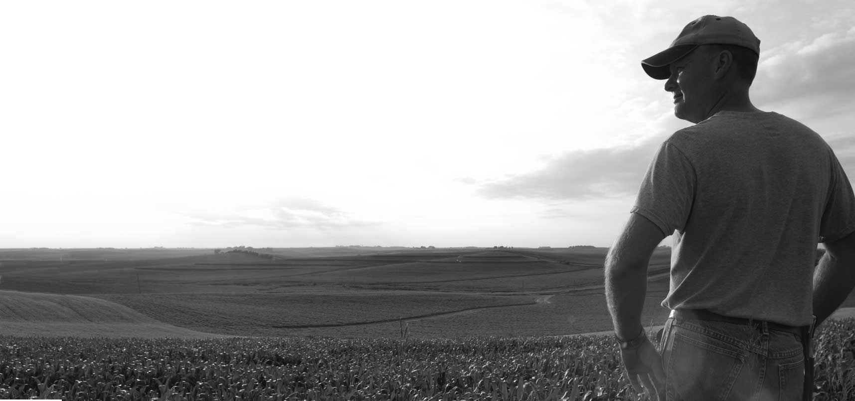 Farmer viewing his field.