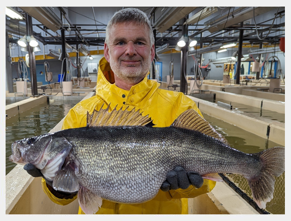 RATHUN FISH HATCHERY