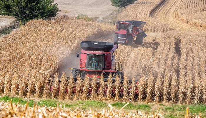 How to Write a Post-Harvest Marketing Plan Webinar Recording